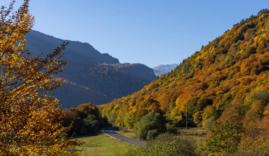 Новые рекорды Mantera: посещаемость «Архыза» выросла на 14%  