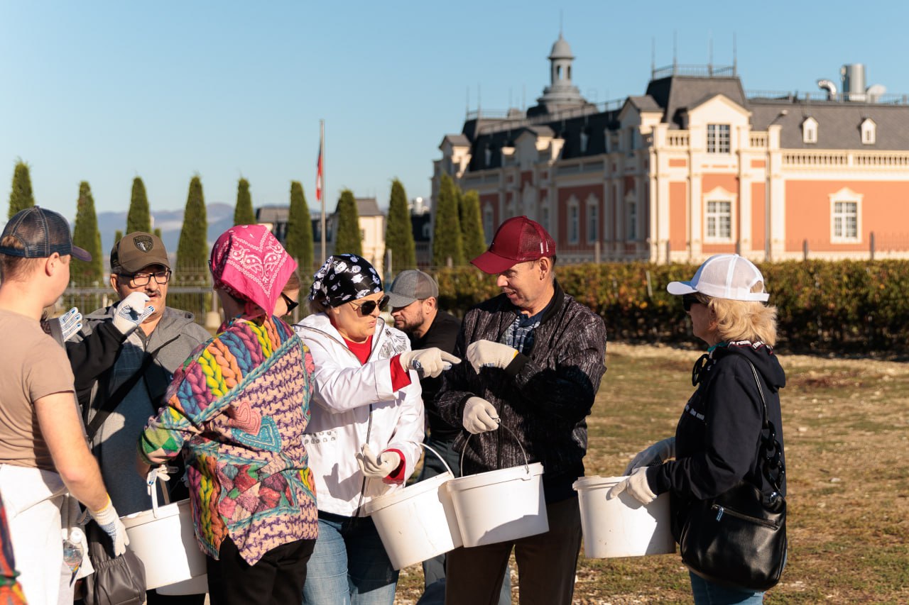 Лидеры добра: Mantera представила результаты крупномасштабного благотворительного марафона  16
