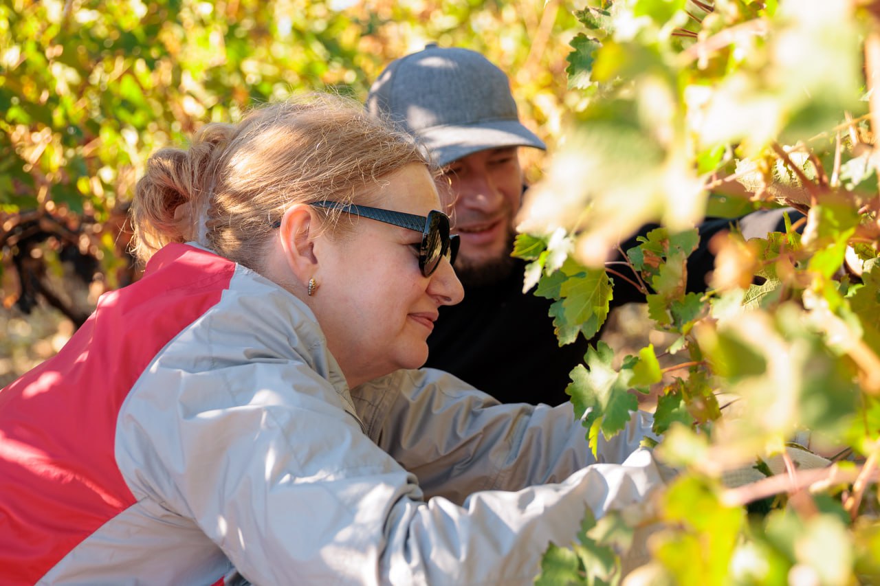 Лидеры добра: Mantera представила результаты крупномасштабного благотворительного марафона  19