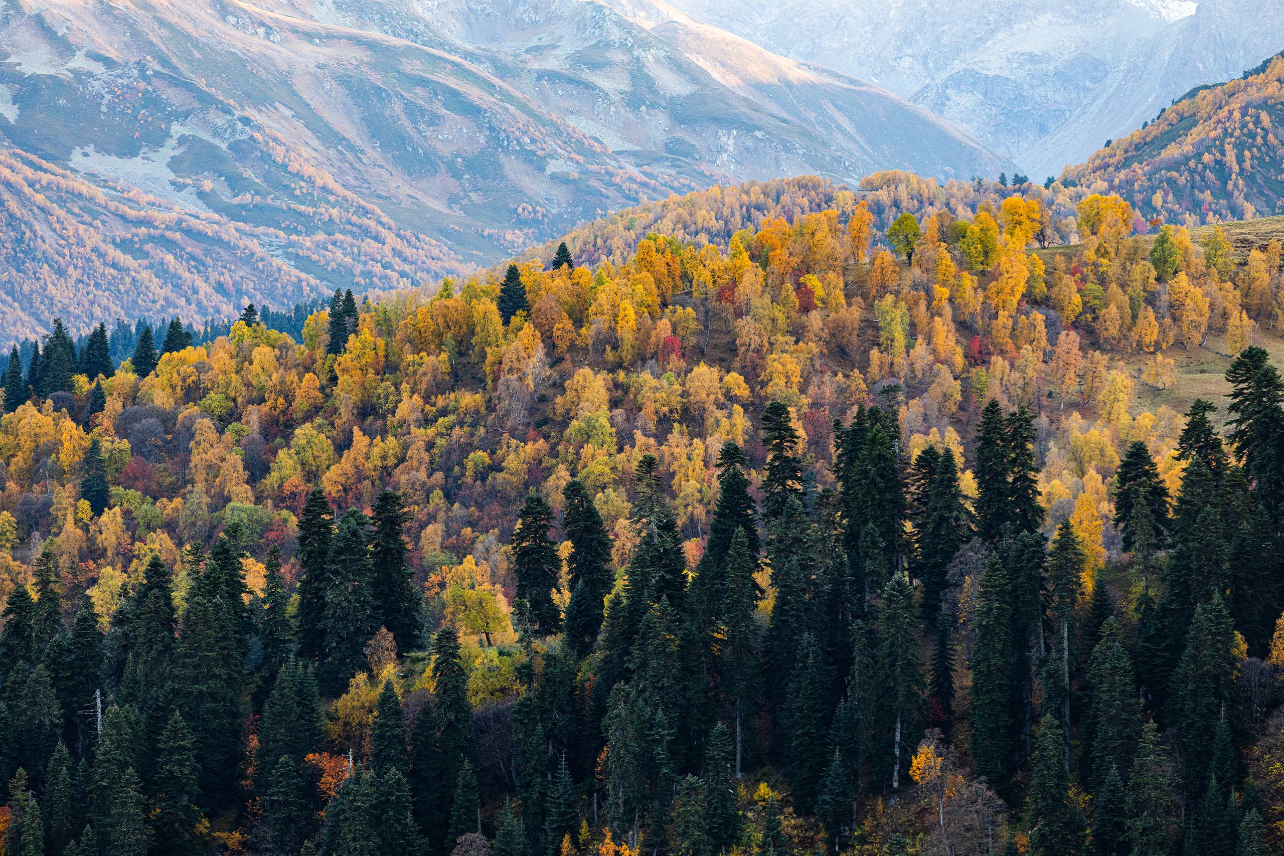 Новые рекорды Mantera: посещаемость «Архыза» выросла на 14%   1