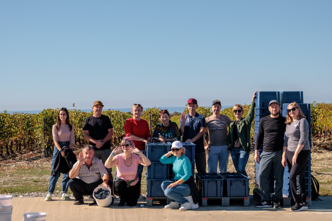 Лидеры добра: Mantera представила результаты крупномасштабного благотворительного марафона  18